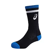 Asics Socks [Z12008-90] 中筒襪 排球 球類 運動 厚底 透氣 耐磨 黑藍 S 黑/黑