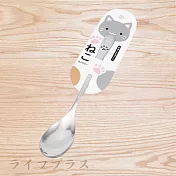 日本製ECHO貓印不鏽鋼湯匙-12入組