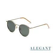 【ALEGANT】質感古著松葉綠金色圓框偏光墨鏡/UV400太陽眼鏡