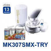 日本東麗 淨水器快速淨水組 MK307SMX-TRY 總代理貨品質保證