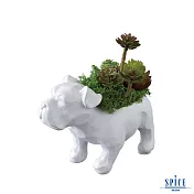 【SPICE】日本 動物造型人造綠色盆栽- 狗