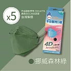 【多倍】4D醫用立體口罩-台灣製 (10片X5盒) 挪威森林綠