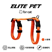 ELITE PET 經典系列 貓兔用胸背 火星橘