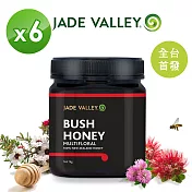 【紐西蘭 Jade Valley】灌木叢林-百花蜜(1kg)-6入組