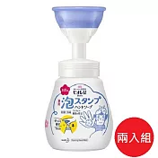 日本【花王KAO】Bioreu 花形泡沫洗手乳250ml 兩入組
