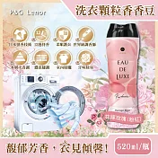 (任選2瓶超值組)日本P&G Lenor蘭諾-Eau de Luxe法式奢華頂級12週衣物芳香顆粒香香豆520ml/瓶(滾筒式或直立式洗衣機皆適用) 花嫁玫瑰(粉紅色)*2瓶