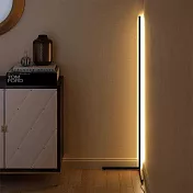 H&R安室家 Corner三色變光LED落地燈/立燈ZA0218