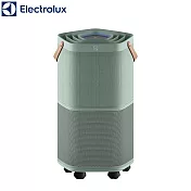 Electrolux 伊萊克斯 ~22坪 Pure A9.2 高效能抗菌空氣清淨機-海洋綠 EP71-56GRA