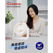 THOMSON 無線9吋空氣循環扇 TM-SAF25U