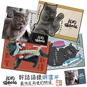 我的貓BOSS系列明信片組