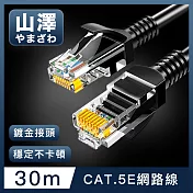 山澤 Cat.5e 無屏蔽高速傳輸八芯雙絞鍍金芯網路線 黑/30M
