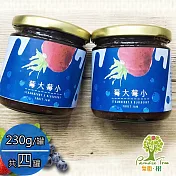 《樂園．樹》莓大莓小-無農藥草莓藍莓雙果醬(每瓶230g，共四瓶)