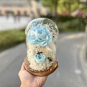 【Flower Plus】 淡藍色｜永生花玻璃罩