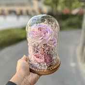 【Flower Plus】 淡粉色｜永生花玻璃罩