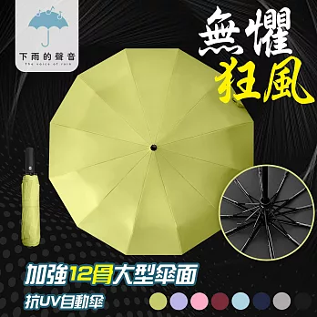 【下雨的聲音】抗UV黑膠防風十二骨晴雨自動傘(八色) 抹茶綠
