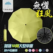 【下雨的聲音】抗UV黑膠防風十二骨晴雨自動傘(八色) 羞澀粉