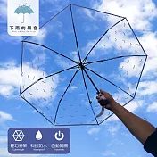 【下雨的聲音】輕透小清新三折透明自動折疊傘(三色) 海鷗
