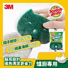【3M】百利 隨手掛架組-爐廚專用三效海綿菜瓜布補充包-2片裝(綠貓)