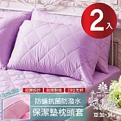 【AGAPE 亞加．貝】台灣製 防潑水防蹣抗菌保潔枕墊 二入 紫羅蘭