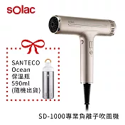 【sOlac】SD-1000 負離子智慧恆溫吹風機 流星金