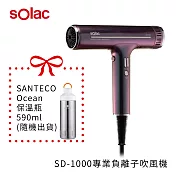 【sOlac】SD-1000 負離子智慧恆溫吹風機 幻彩紫