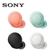 SONY 360度音效真無線防水耳機 WF-C500 4色 白色