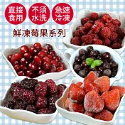 《幸美生技》進口鮮急凍莓果5kg組(蔓越莓/覆盆莓/黑莓/黑醋栗/草莓 各1包)