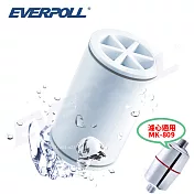 【EVERPOLL】微分子SPA沐浴器專用濾芯 (MKC)