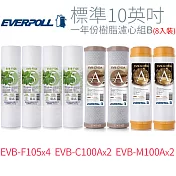 【EVERPOLL】標準10英吋 一年份樹脂濾心組B(8入)