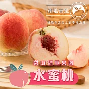 *預購【梨山福慧果園】水蜜桃8粒(3斤/盒)(7/20開始出貨)