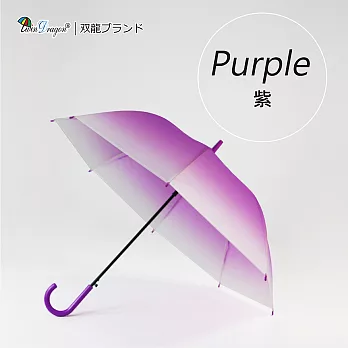 【雙龍牌】日系環保自動直立傘 漸層半透明傘霧面傘雨傘A0557g 紫