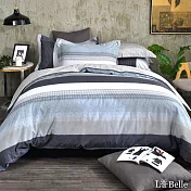 義大利La Belle《艾思柏汀》特大純棉四件式防蹣抗菌吸濕排汗兩用被床包組