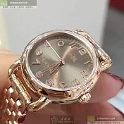 COACH蔻馳精品錶,編號：CH00111,24mm圓形玫瑰金精鋼錶殼玫瑰金色錶盤精鋼玫瑰金色錶帶