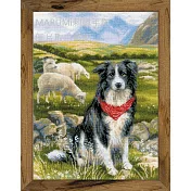 RIOLIS 十字繡材料包 - 邊境牧羊犬