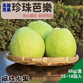 【阿成水果】高雄燕巢珍珠芭樂(15~18粒/6kg/盒)