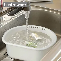 【Lustroware】日本岩崎D型洗菜瀝水盆 白/綠(原廠總代理) 白色
