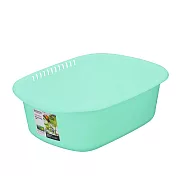 【Lustroware】日本岩崎方型洗菜瀝水盆 白/綠(原廠總代理) 淺綠色