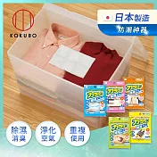 【日本小久保KOKUBO】日本製可重複使用系列防霉除臭除溼袋-多用途可挑選- 衣物收納箱專用(6入)