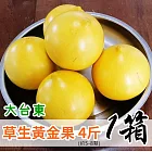 【鮮食優多】大台東  草生黃金果4斤(約5-8顆) 1盒