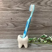齒狀牙刷座 珪藻土牙刷座 文創商品牙齒牙刷座