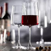 《RCR》Essential水晶玻璃紅酒杯(540ml) | 調酒杯 雞尾酒杯 白酒杯