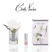 【法國 Cote Noire 寇特蘭】小朵玫瑰香氛花透明瓶(附贈5ml精油x1) 象牙白玫瑰透明瓶