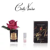 【法國 Cote Noire 寇特蘭】小朵玫瑰香氛花黑瓶(附贈5ml精油x1) 紅玫瑰香氛花黑瓶