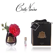【法國 Cote Noire 寇特蘭】茶玫瑰香氛花橢圓黑瓶(附贈10ml 精油x1) 深紅茶玫瑰橢圓黑瓶