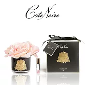 【法國 Cote Noire 寇特蘭】五朵玫瑰香氛花黑瓶(附贈10ml 精油x1) 粉紅玫瑰香氛花黑瓶