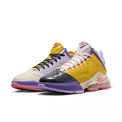 NIKE LEBRON XIX LOW EP 男 籃球鞋 DO9828500 US8.5 紫