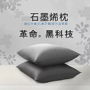家購網嚴選 石墨烯枕 2入(45x70cm/入)