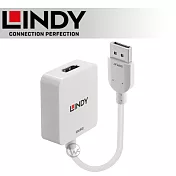 LINDY 林帝 HDMI 2.0 to DisplayPort 1.2版 4K@60Hz 轉接器 (38303)