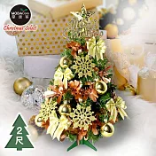 摩達客耶誕-2尺/2呎(60cm)特仕幸福型裝飾綠色聖誕樹 (香檳雙金系全套飾品)超值組不含燈/本島免運費