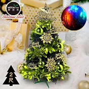 摩達客耶誕-2尺/2呎(60cm)特仕幸福型裝飾黑色聖誕樹 (果綠金雪系全套飾品)+20燈LED燈插電式彩光*1/贈控制器/本島免運費